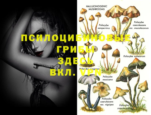 mdpv Горняк