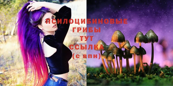 mdpv Горняк