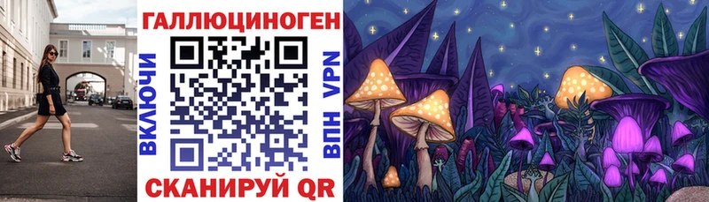 Купить  Карабулак  Галлюциногенные грибы мухоморы 